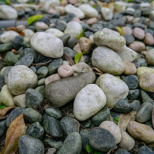 森林小山的自然砾石背景团体石头圆形建造花园地面岩石灰色卵石材料图片