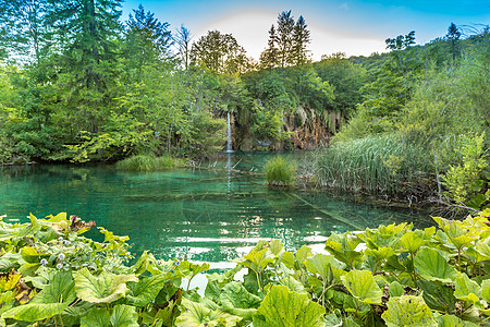 普利维茨湖 克罗地亚瀑布 神奇之地公园风景绿色植物溪流旅行国家美丽蓝色生态图片