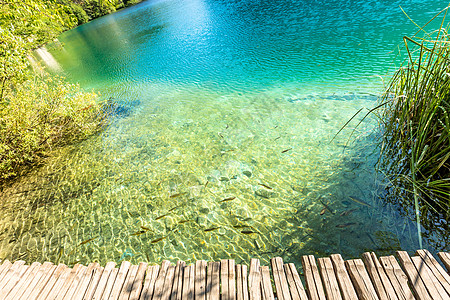 普利维茨湖 克罗地亚瀑布 神奇之地蓝色生态公园溪流旅游美丽游客森林池塘国家图片