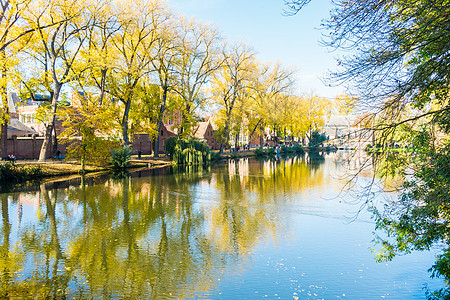 公园比利时布鲁日旅行城市建筑学池塘旅游季节矿泉水反射太阳叶子图片
