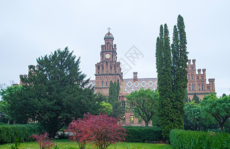 Chernivtsi 国立大学花园图片