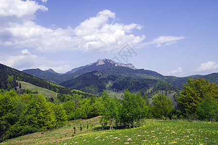 春季森林全景国家远足旅行房子首脑生态高山蓝色季节农村图片