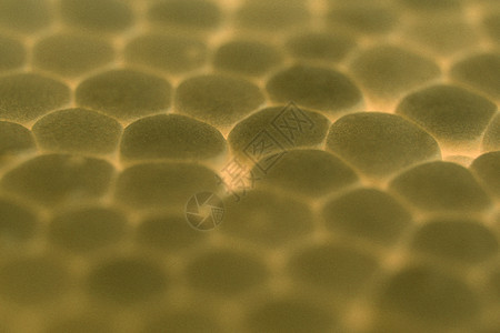 黄色泡沫塑料质地 抽象的聚苯乙烯泡沫塑料背景 微距特写白色气泡图片