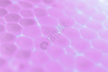 浅粉色泡沫塑料质地 抽象的聚苯乙烯泡沫塑料背景 微距特写白色气泡背景图片