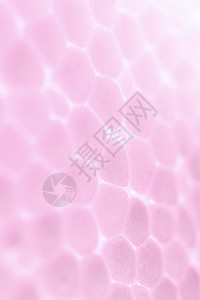 淡淡的玫瑰泡沫塑料质感 抽象的聚苯乙烯泡沫塑料背景 微距特写白色气泡背景图片