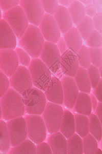 粉色白色泡沫塑料质感气泡材料蓝色图片