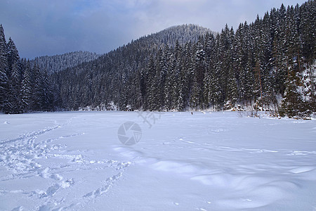 冰冻湖泊 森林中积雪图片