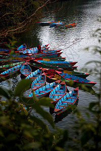 尼泊尔波克拉Phewa湖停泊在尼泊尔Powha湖的多彩木制船图片