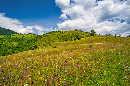 山地景观中开阔的牧场图片