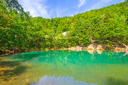 夏季森林中的绿湖图片