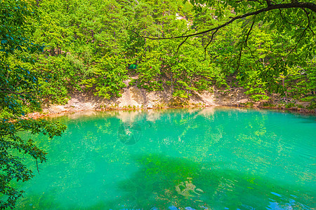 夏季森林湖绿化色效应图片