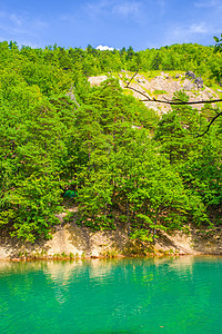 森林中的翡翠绿湖颜色图片