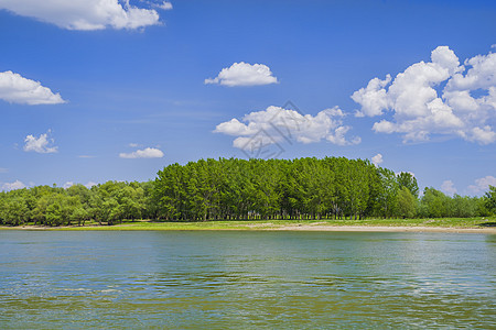 阳光明媚的夏日森林河流景观图片