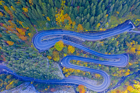 秋林的曲流道路图片