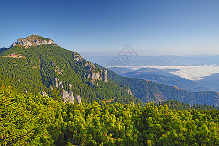 绿色森林山林和山谷景观图片