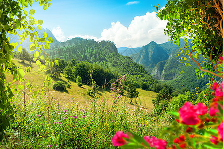 国家公园夏季日图片