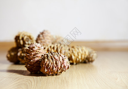 一些雪松圆锥形坚果云杉植物松树棕色种子食物针叶松果图片