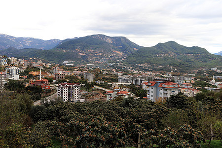 山顶的住宅楼 艾兰雅 土耳其建筑城市全景住房财产阳台房屋街道房子公寓背景图片