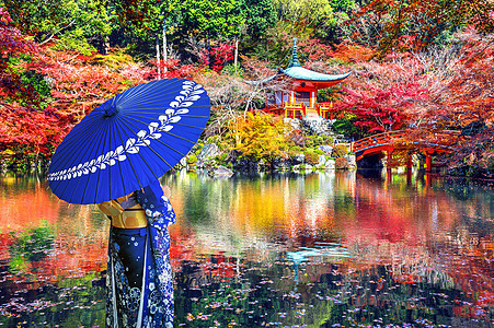 身着日本传统和服的亚裔女性在京都大地寺庙 日本秋天旅行神社文化宝塔公园女孩树叶植物叶子建筑学图片