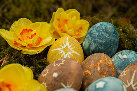 复活节配有恒星和水仙的彩蛋桌面静物礼物季节食物水仙花星星庆典图片