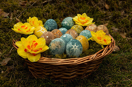 复活节配有恒星和水仙的彩蛋季节礼物染色庆典星星水仙花静物图片