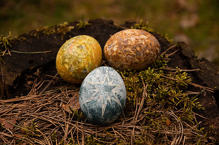 复活节涂有棕色 黄黄色 蓝蛋和恒星的苔图片