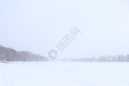 地平线上有森林的雪景景观 天气恶劣 可见度差图片