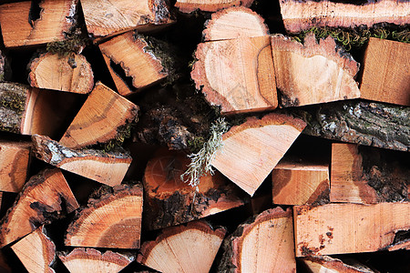 木板桩背景 木伐木背景 木材烟头堆叠纹理屁股木工木板松树酒吧记录材料木头自然风化图片