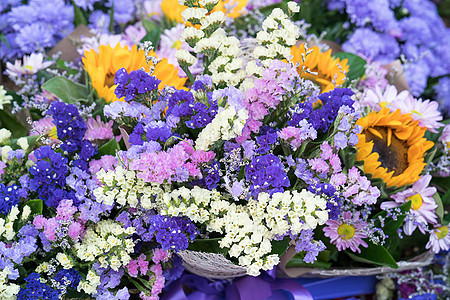 紫花花的多彩花束紫色植物叶子雏菊植物群野花菊花菊科花园图片