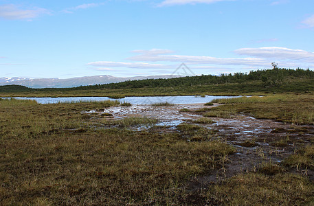 瑞典北部阿比斯库国家公园北极苔原的山地湿地沼泽冻土土地沼泽地蓝色照片天空空气野生动物公园图片