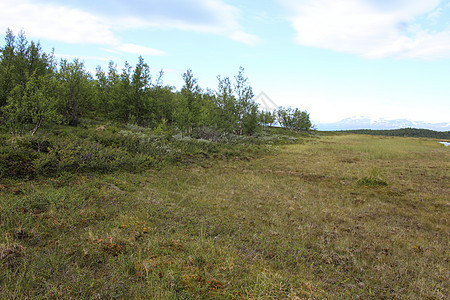 瑞典北部阿比斯库国家公园北极苔原的山地湿地野生动物旅行空气多边形天空冻土照片苔原沼泽沼泽地图片