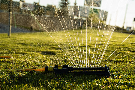草坪喷水器在绿草上喷水 灌溉庭院草的现代设备 灌溉系统  在花园里浇水的技术 用洒水器给草坪浇水液体生长淋浴塑料院子水滴草地植物图片