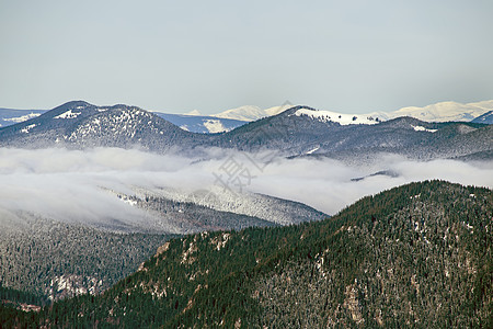 冬季山地景观森林环境山脉季节天空场景顶峰全景树木天气图片