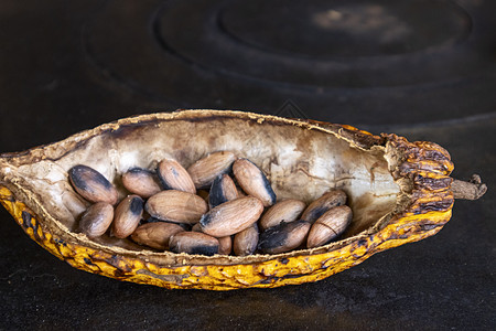 可可食物生食摄影味道棕色甜点植物香气背景豆子图片