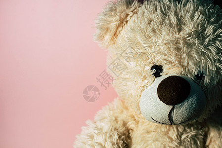 Teddy熊 粉红背景柔软度玩具熊拥抱椅子玩具情感动物孩子礼物毛皮图片
