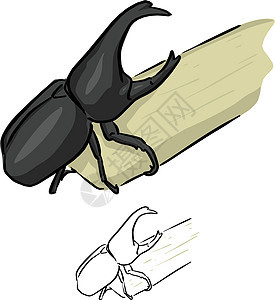 甘蔗上的甲虫犀牛矢量图素描斗图片