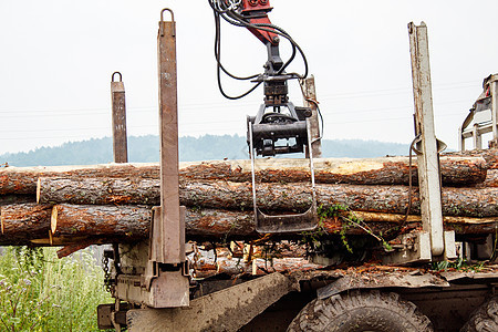 准备运输的松原木材料树干天空林业环境砍伐建造记录森林团体图片