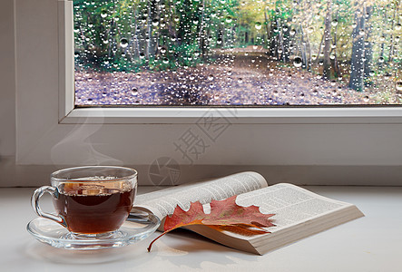 雨刮片咖啡杯 露天圣圣经和窗户上的红绿叶背景