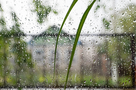 窗玻璃上的雨滴 雨中窗外模糊的背景城市窗格风景树叶气泡墙纸雨窗季节淋浴天气图片