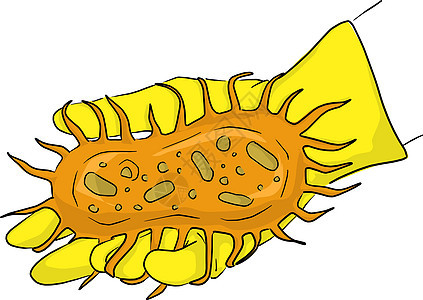 手拿着黄色橡胶手套拿着大橙色胚芽矢量 il图片