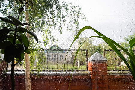 窗玻璃上的雨滴 雨中窗外模糊的背景淋浴天气风景下雨桌子生活滴水花园环境季节图片