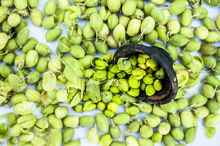 Ginjua 或 gingua 或鹰嘴豆或小鸡豆荚或埃及豆放在粘土碗里粮食公克宏观种子饮食美食植物营养收成蔬菜图片