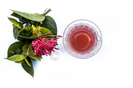 红色五角花或埃及星花或茉莉花在白色上的特写 其提取的草药和药用茶放在一个小透明玻璃碗中休息木头食物植物桌子饮料五角星树叶仙丹香气图片