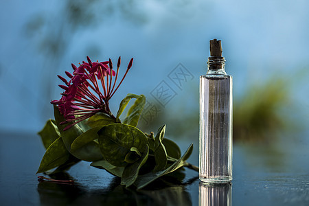 在透明玻璃瓶中用提取的喷雾或香水在木质表面特写红色五角花或埃及星花或茉莉花瓶子气味玻璃香味五角星芳香香气涂鸦液体星团图片