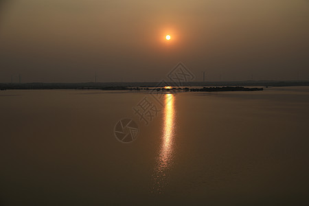 美丽的夏天日落日光阳光波浪树叶天空夕阳晴天黄色光效电线杆图片