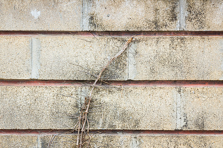 有树屋的旧垃圾墙藤蔓旅行枝条石头岩石围墙插图石工墙纸材料图片