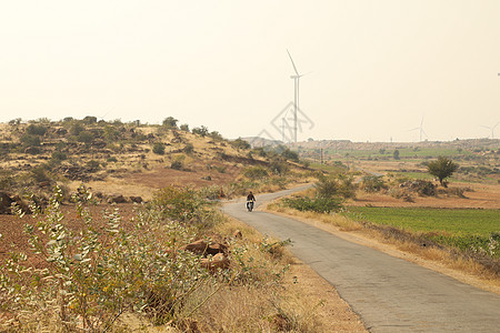 农村地区印度两轮车车辆荆棘树木分支机构旅行风光干草石头树叶图片
