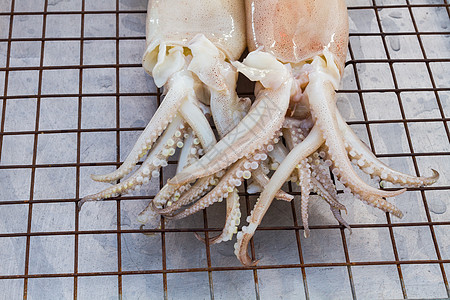 塔海市场上平板铁筛子上的新鲜白鱿鱼火焰烧伤街道食物烤串烹饪海鲜营养竹子美食图片