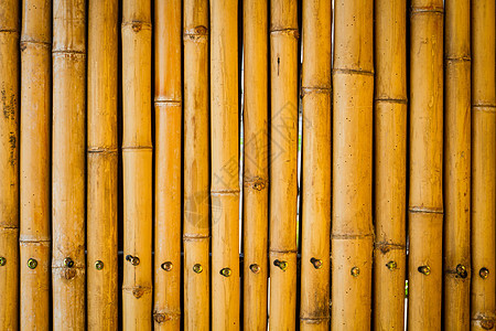 特写黄色竹栅栏背景绑定热带管道树枝花园丛林文化生长木头正方形图片