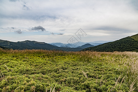 波兰Bieszczady山区从Widelki至Tarnica的公路经过石头日出首脑森林公园全景风景岩石晴天薄雾图片